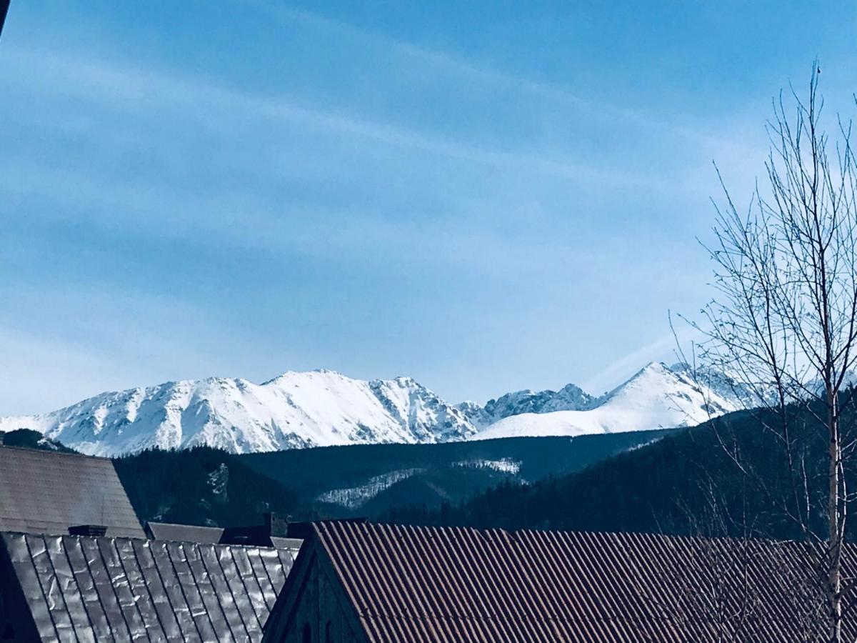 Willa Pod Gorami Zakopane Exterior foto