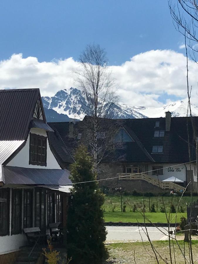 Willa Pod Gorami Zakopane Exterior foto